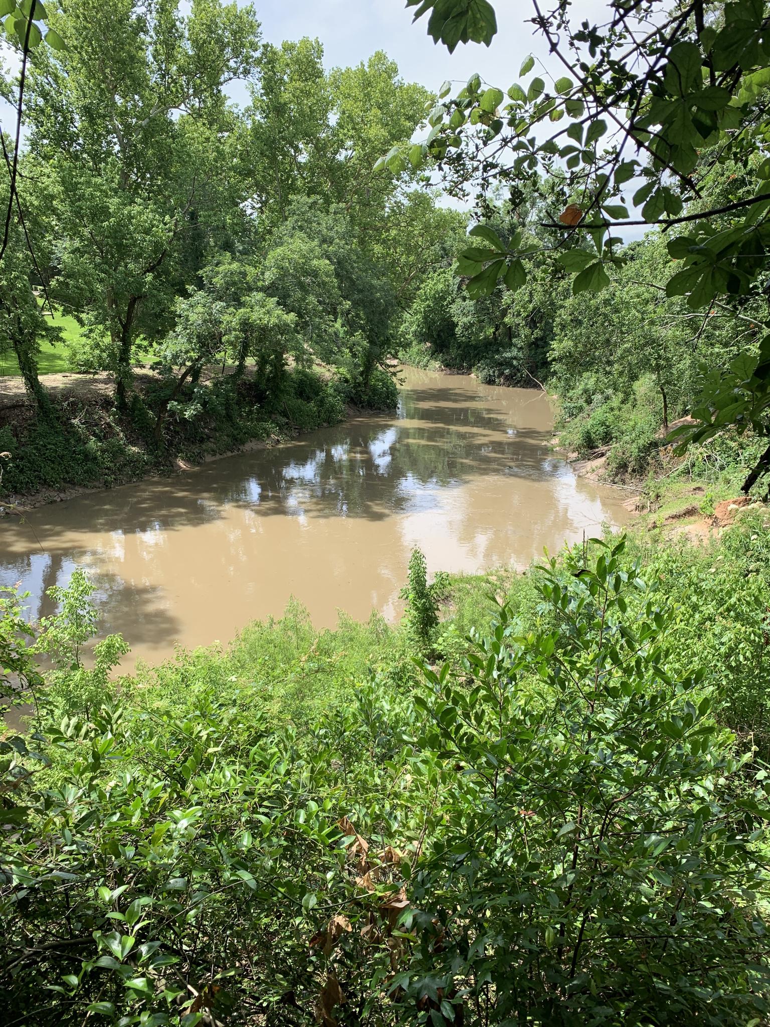 A wide, muddy river winds through dense green trees on a bright day.