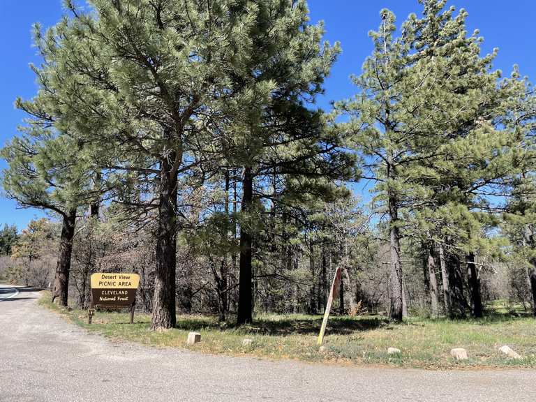 Pacific Crest Trail to Mount Laguna and Foster Point | randonnée ...