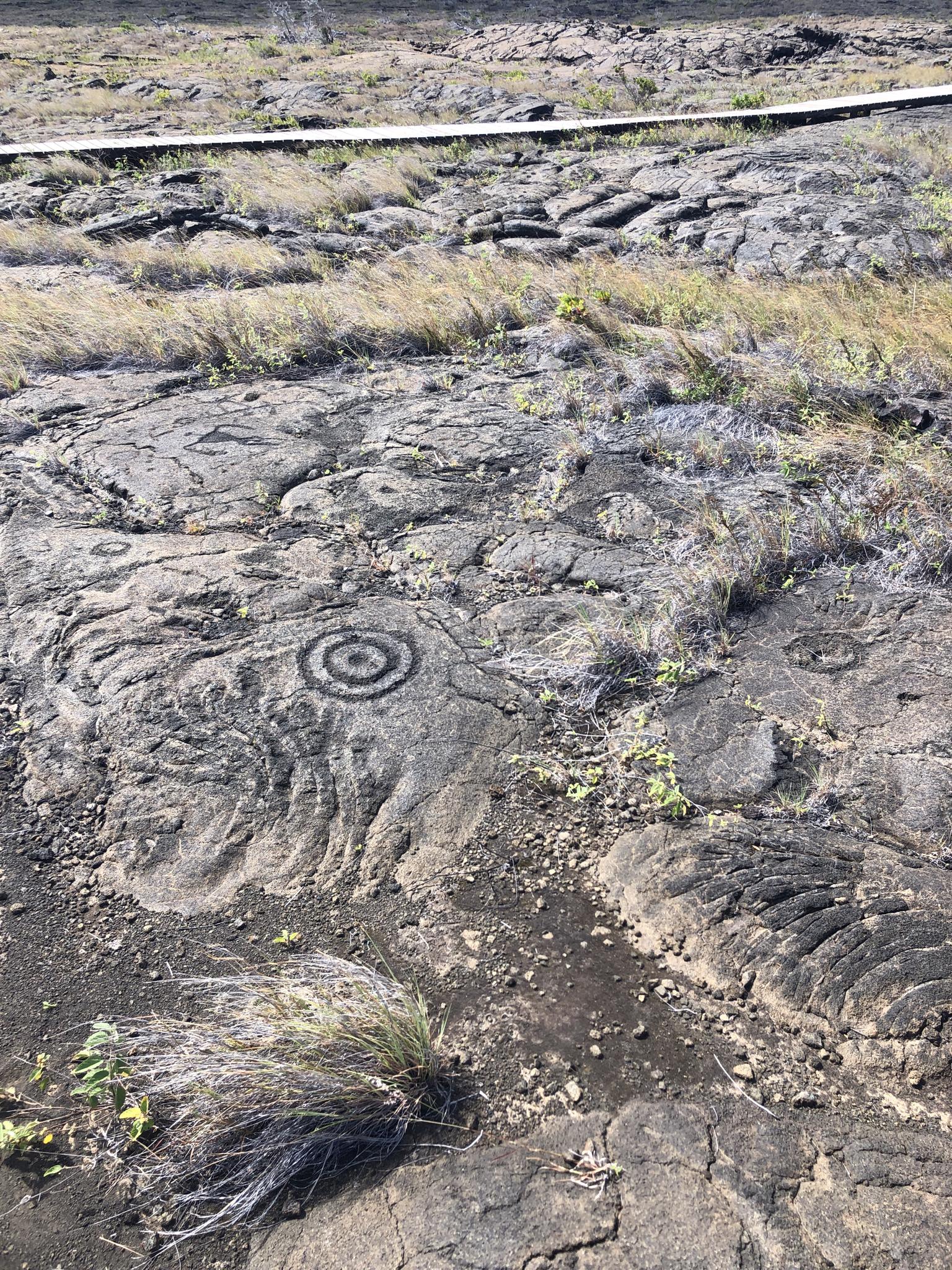 Close-up of circular rock carvings on dark lava, with dry grass.