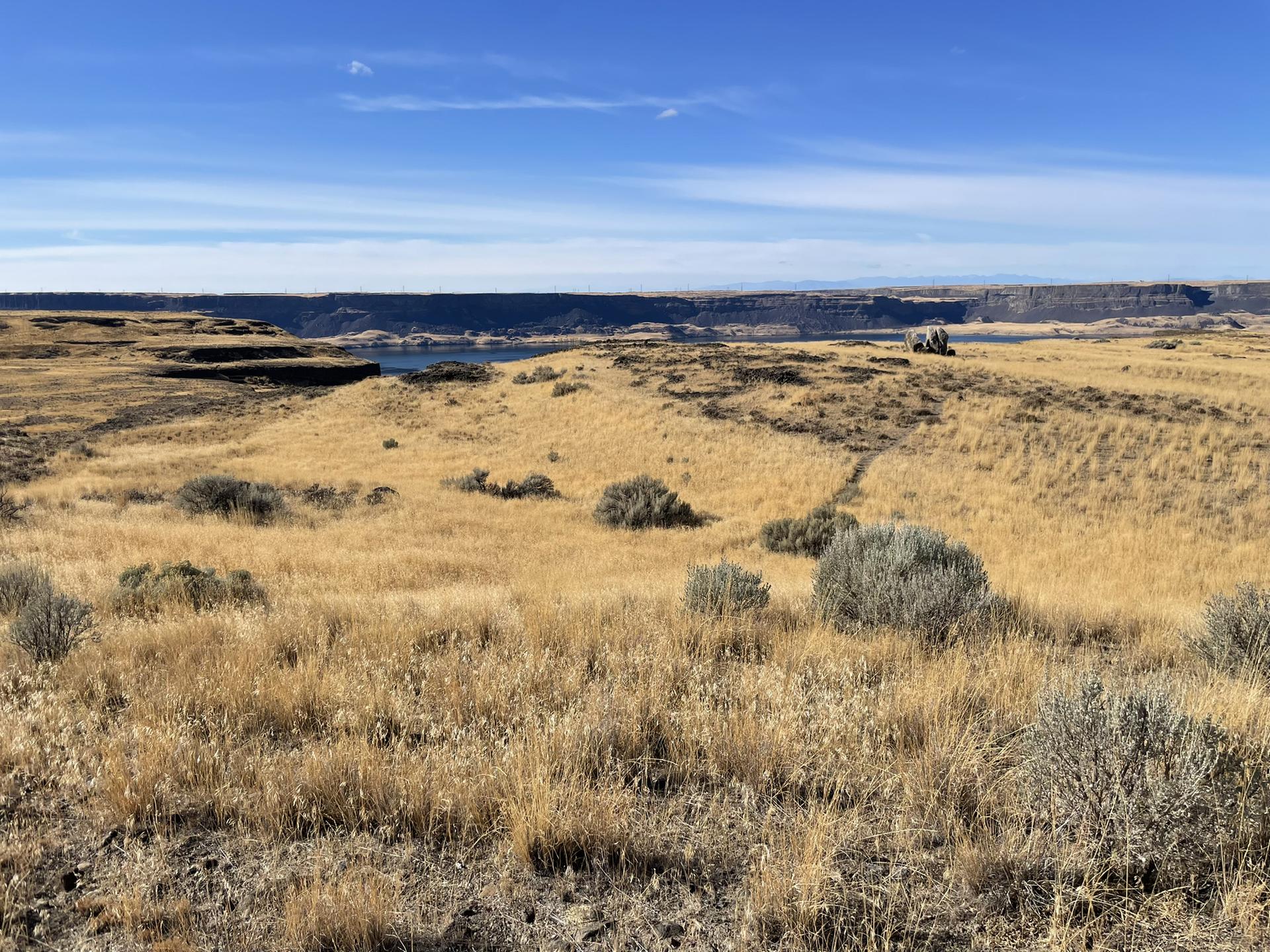 Vast golden grasslands and shrubs stretch towards distant cliffs and a blue lake.