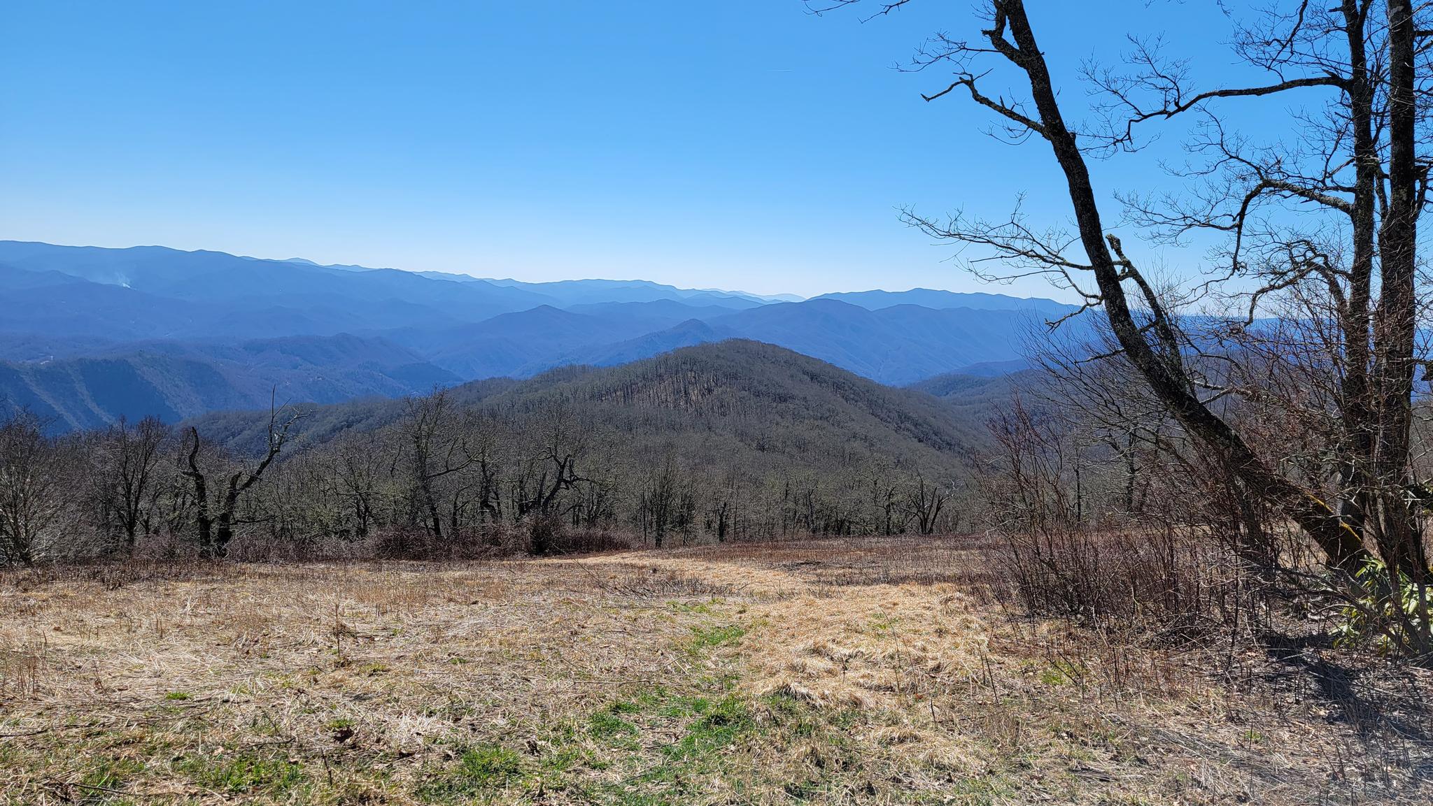 Vast mountain range vista from a grassy clearing on a clear day.