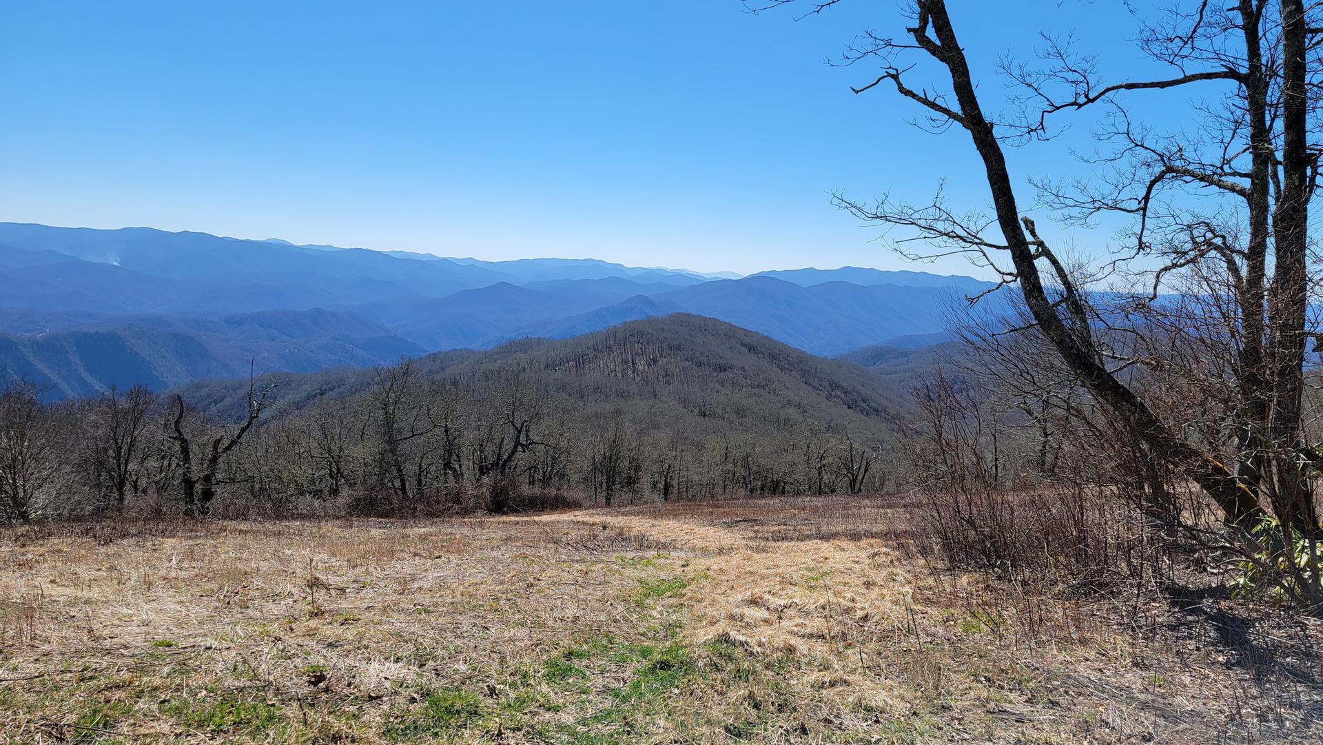 Vast mountain range vista from a grassy clearing on a clear day.