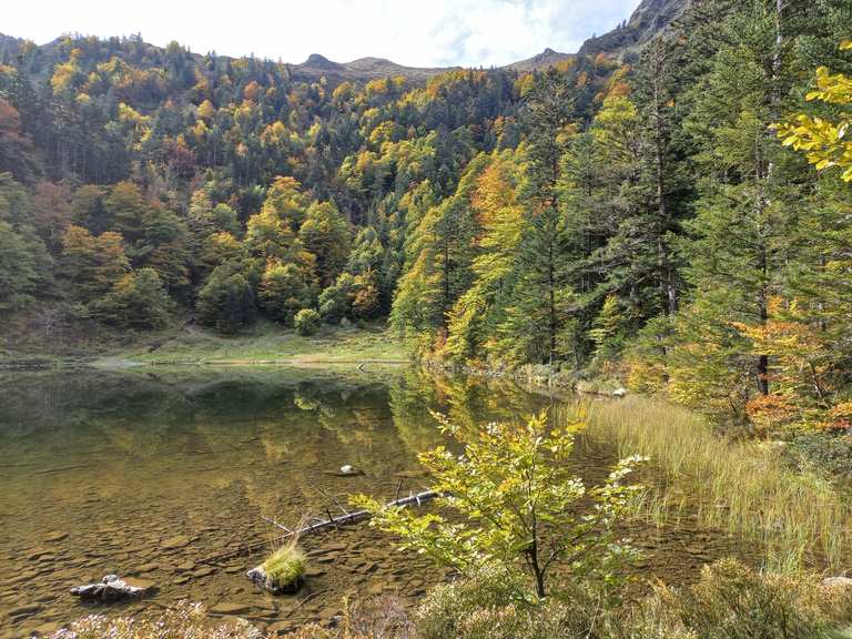Étang de Guzet Wanderungen und Rundwege komoot