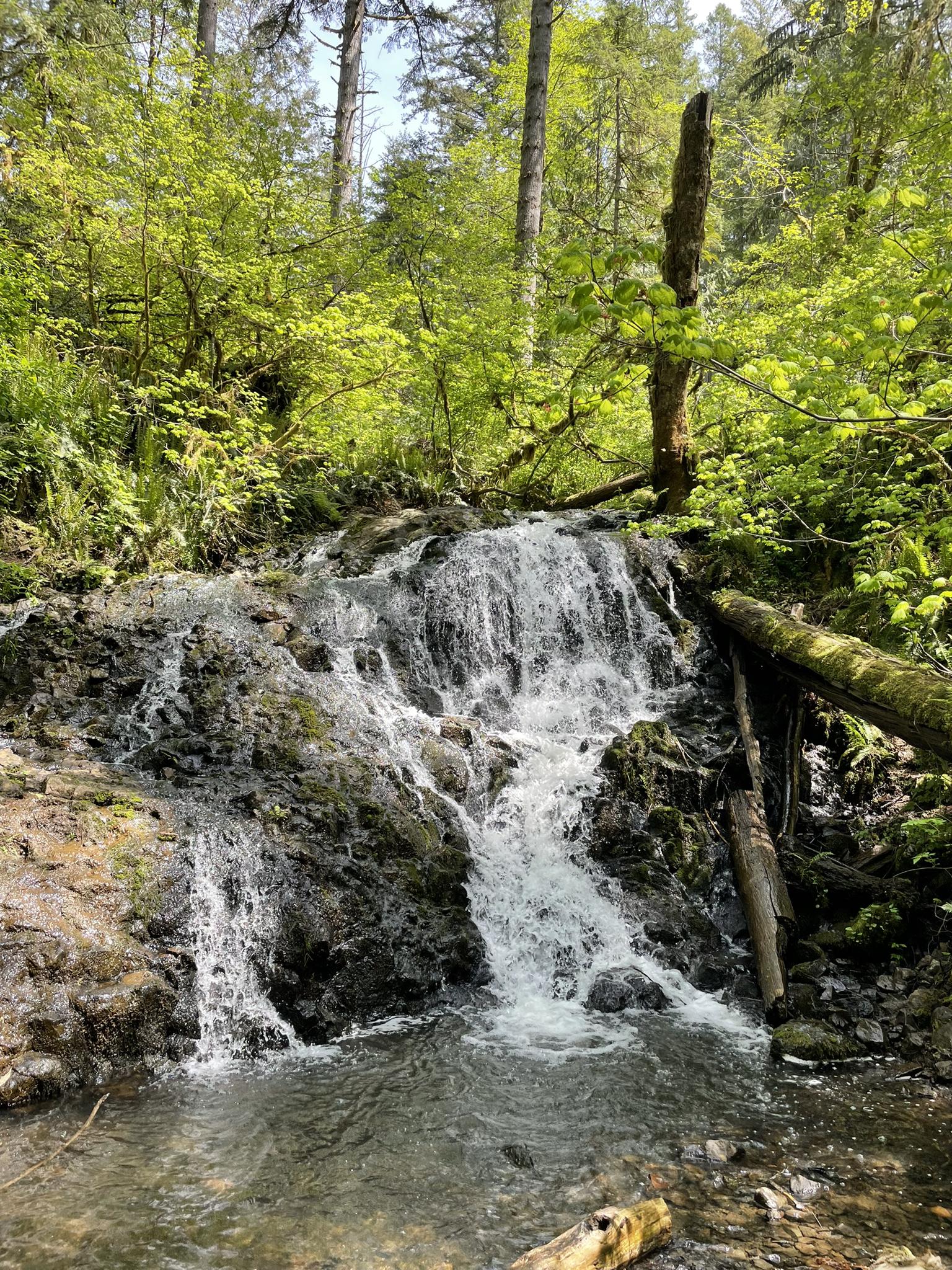 A multi-tiered waterfall cascades over rocks into a stream, surrounded by green foliage.