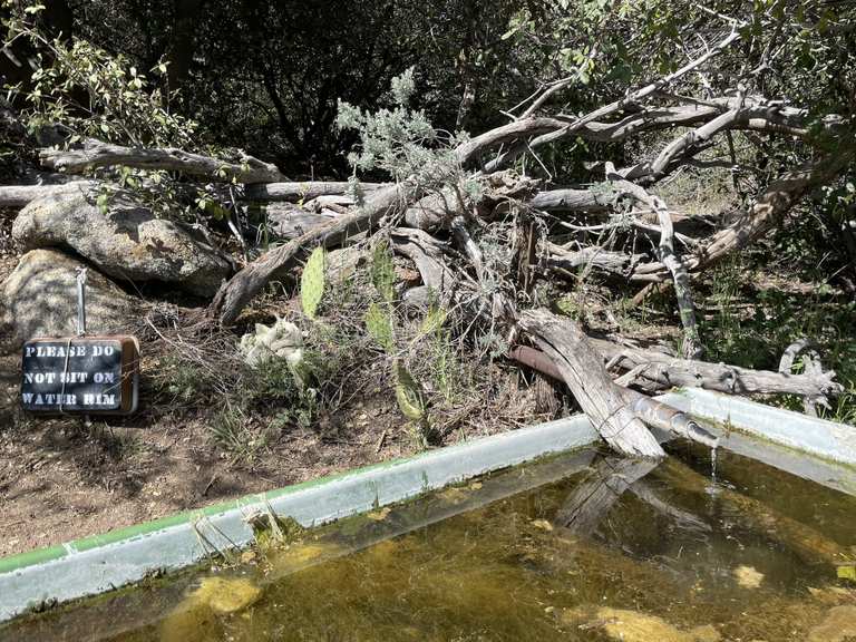 Tunnel Spring Routes for Walking and Hiking Komoot