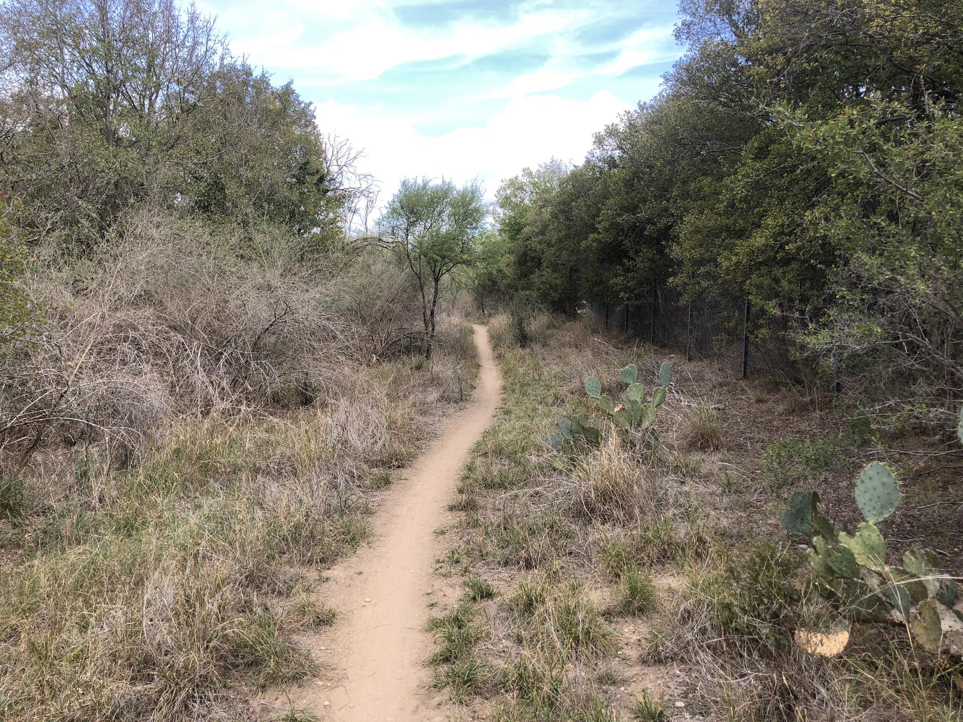 Narrow dirt path through dry grass and sparse trees under a cloudy sky.