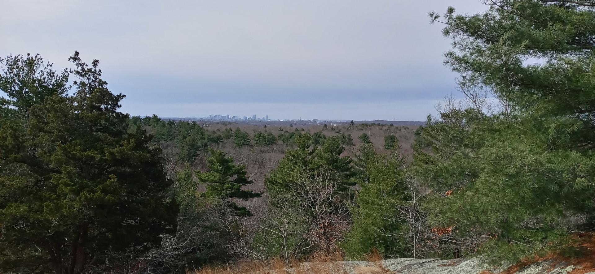 Overcast view of a distant city skyline above a dense forest.