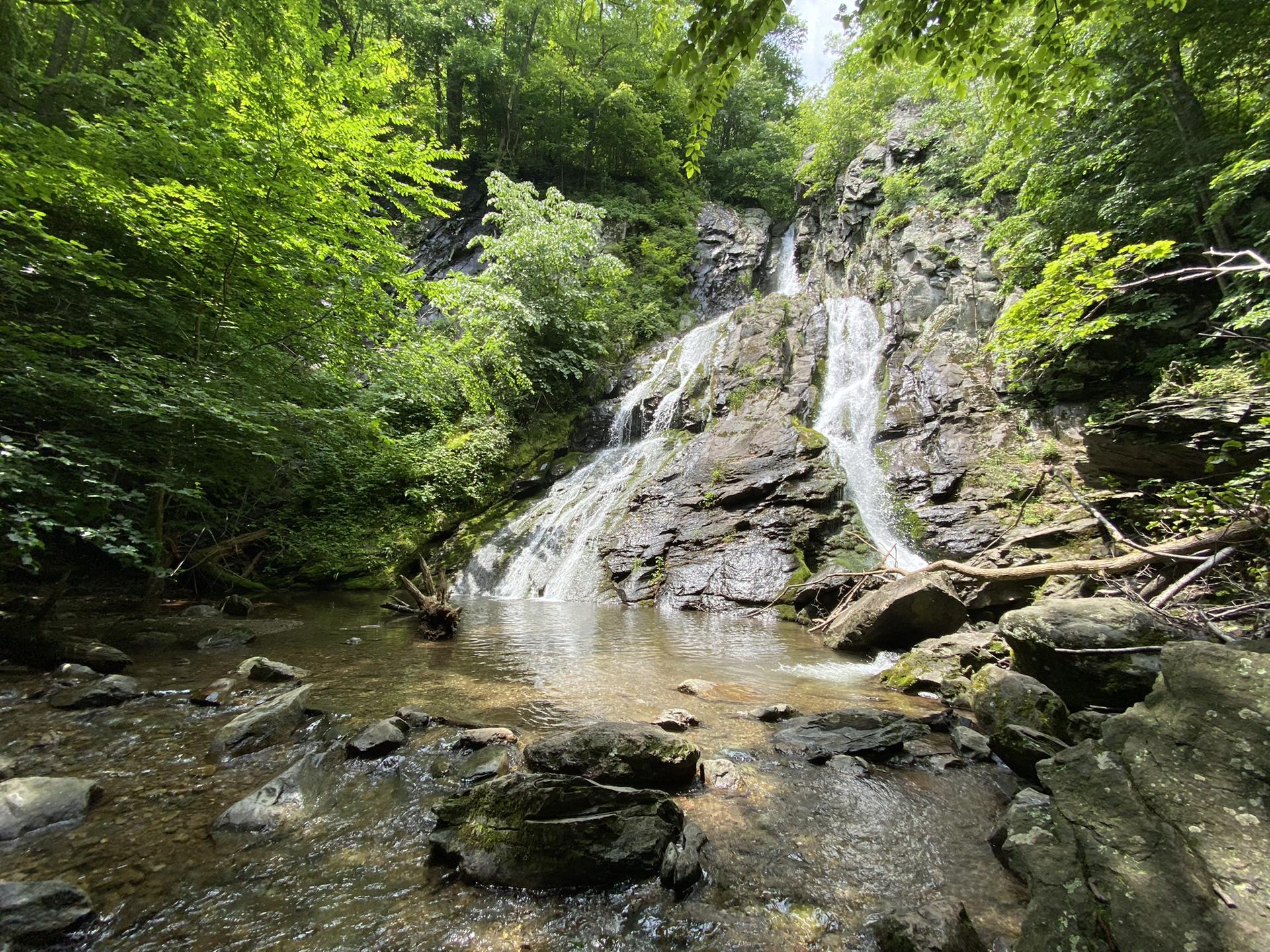 Waterfall cascading over mossy rocks into a clear pool, lush forest.