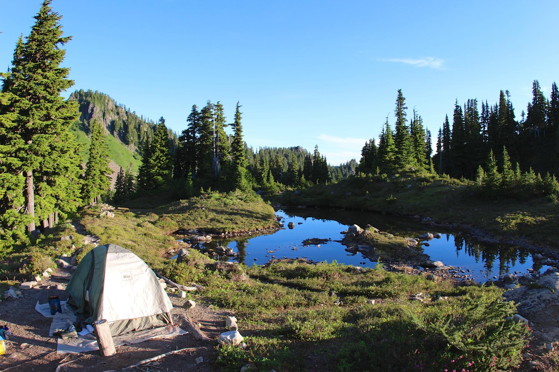A tent sits by a small pond in a sunny mountain forest.