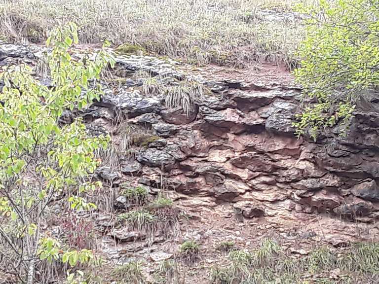 ehemaliger Steinbruch mit Fossilienfunden Wanderungen und Rundwege