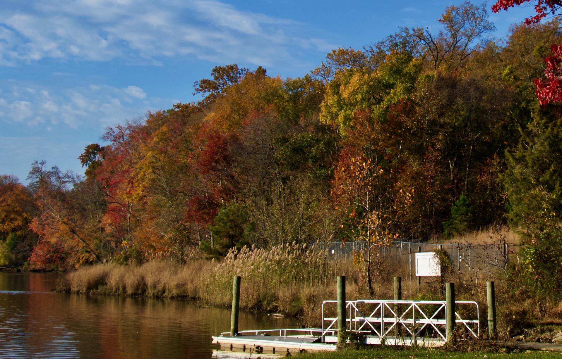Small white dock on a river, surrounded by vibrant autumn trees.