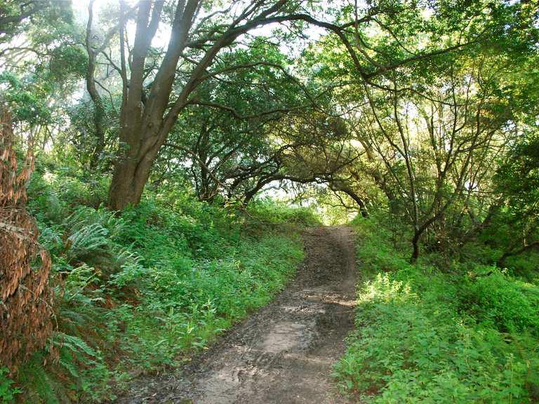 Tilden and Wildcat Loop Wildcat Canyon Regional Park giro in MTB