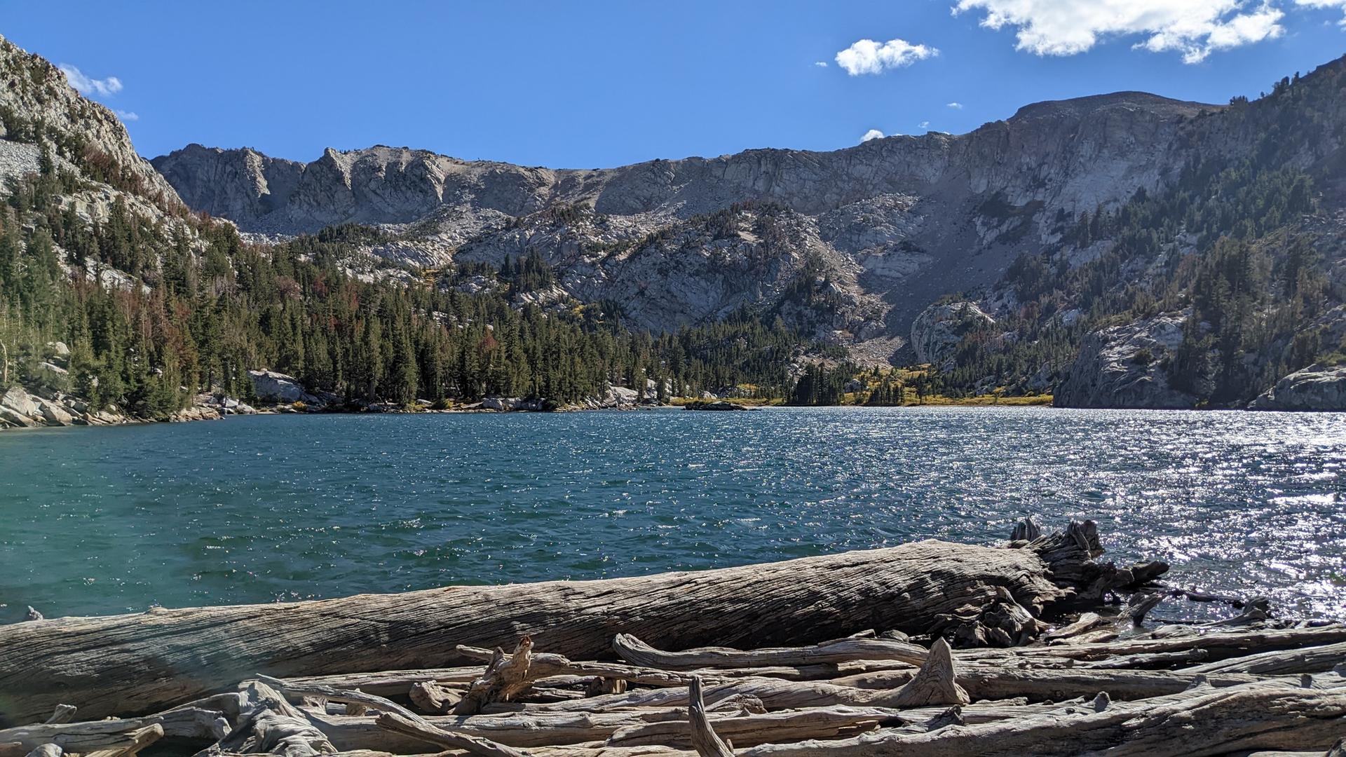 A sparkling lake with driftwood in the foreground, backed by rocky mountains.