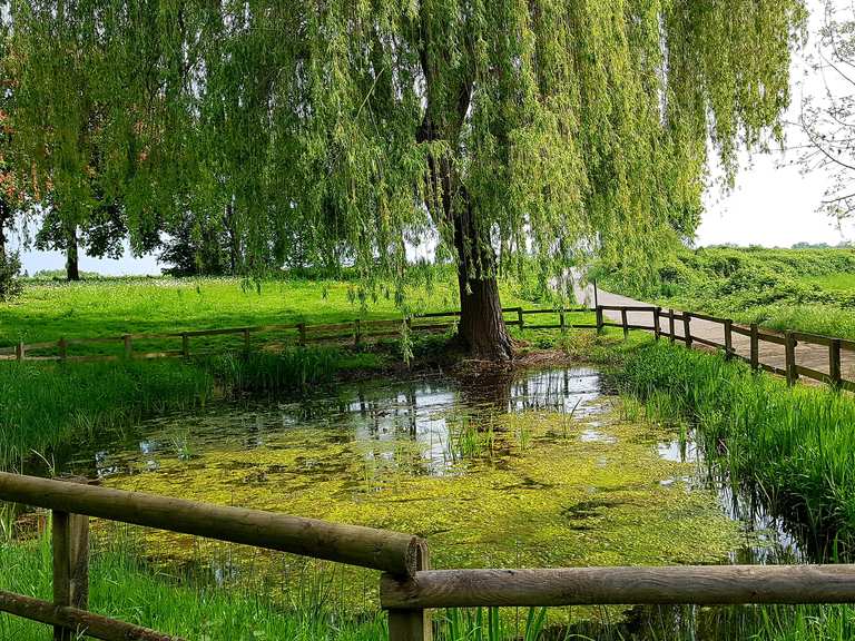 Piccolo stagno sul sentiero panoramico : percorsi ciclabili | Komoot
