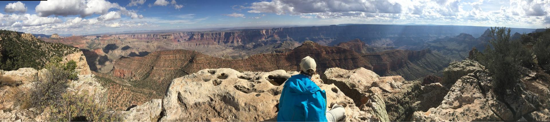 Person in blue jacket overlooking a vast, sunny canyon landscape.