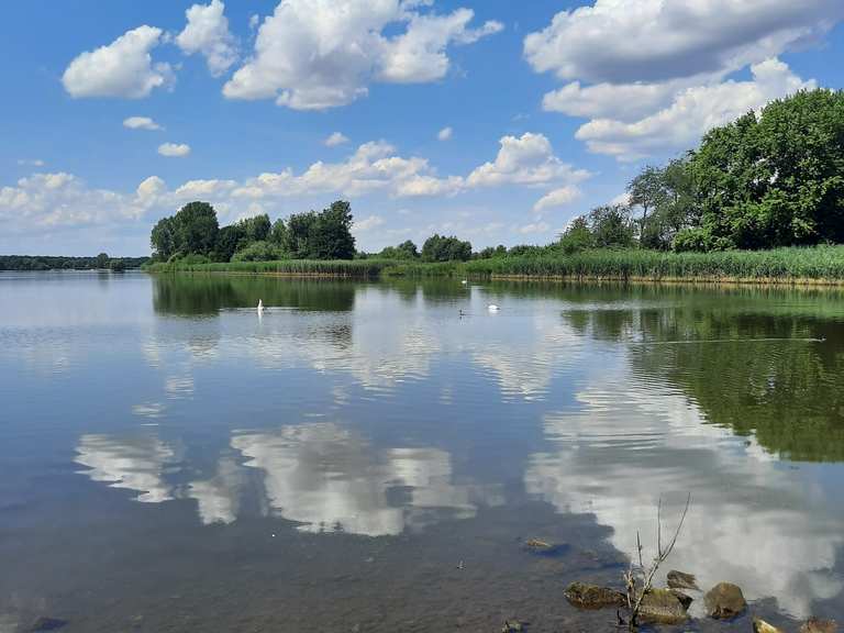 Eschefelder Teiche (Großer Teich) Wanderungen und Rundwege komoot