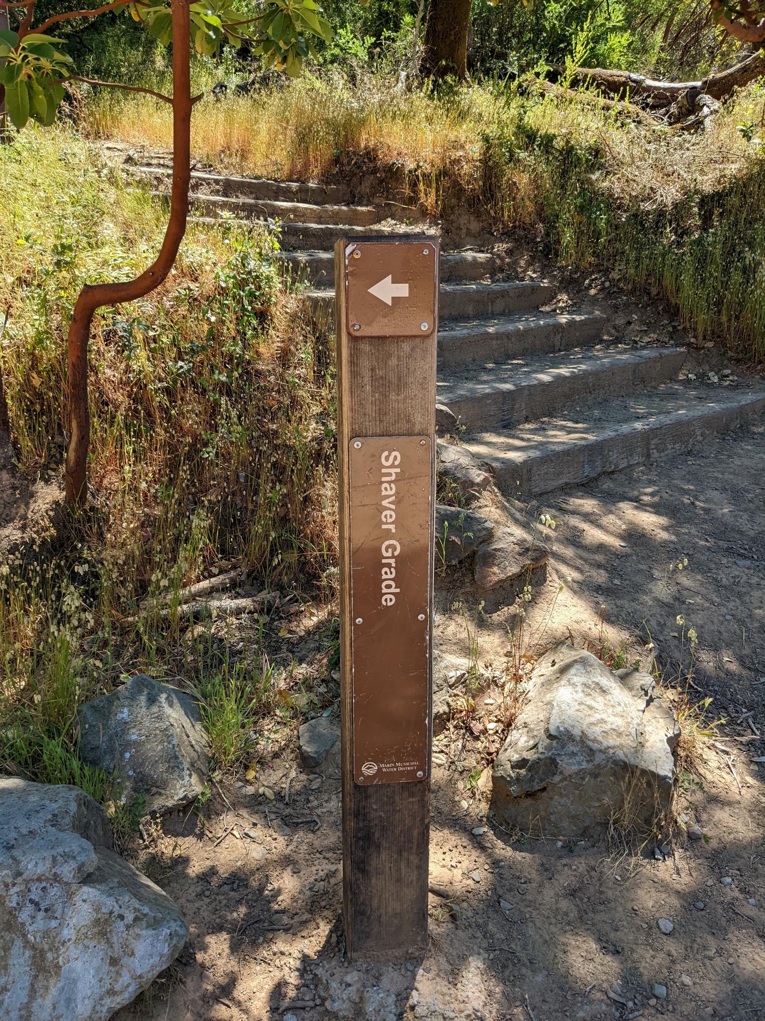 Wooden trail marker pointing up stone steps through sunny green foliage.