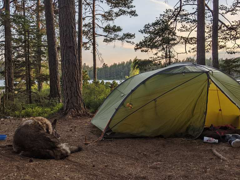 Mellannsudden Camping Area, Tiveden National Park  Hikes & How to Get  There | Komoot