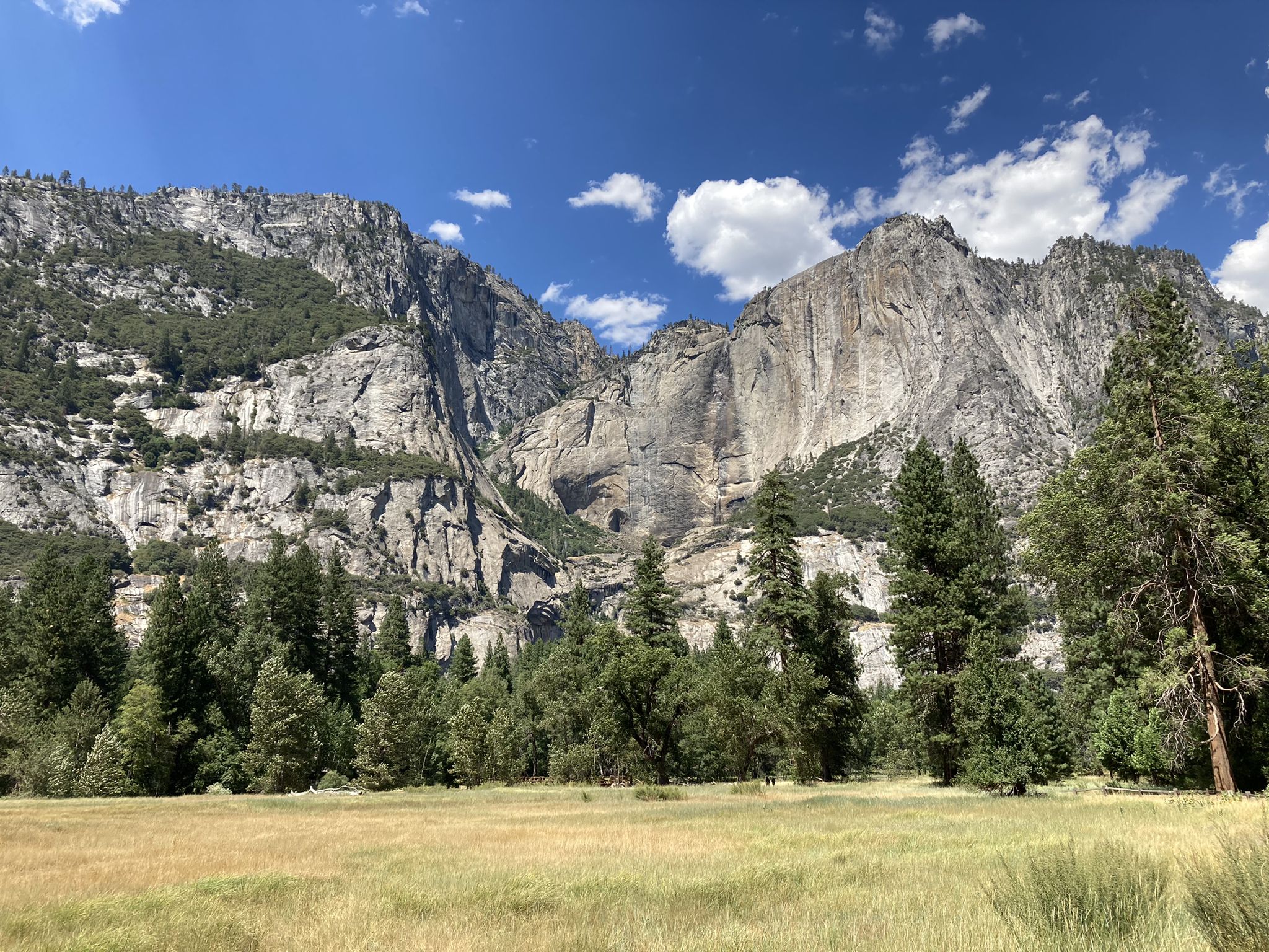 Majestic rock faces rise above a meadow and dense pine forest on a sunny day. - Yosemite Valley Loop Trail