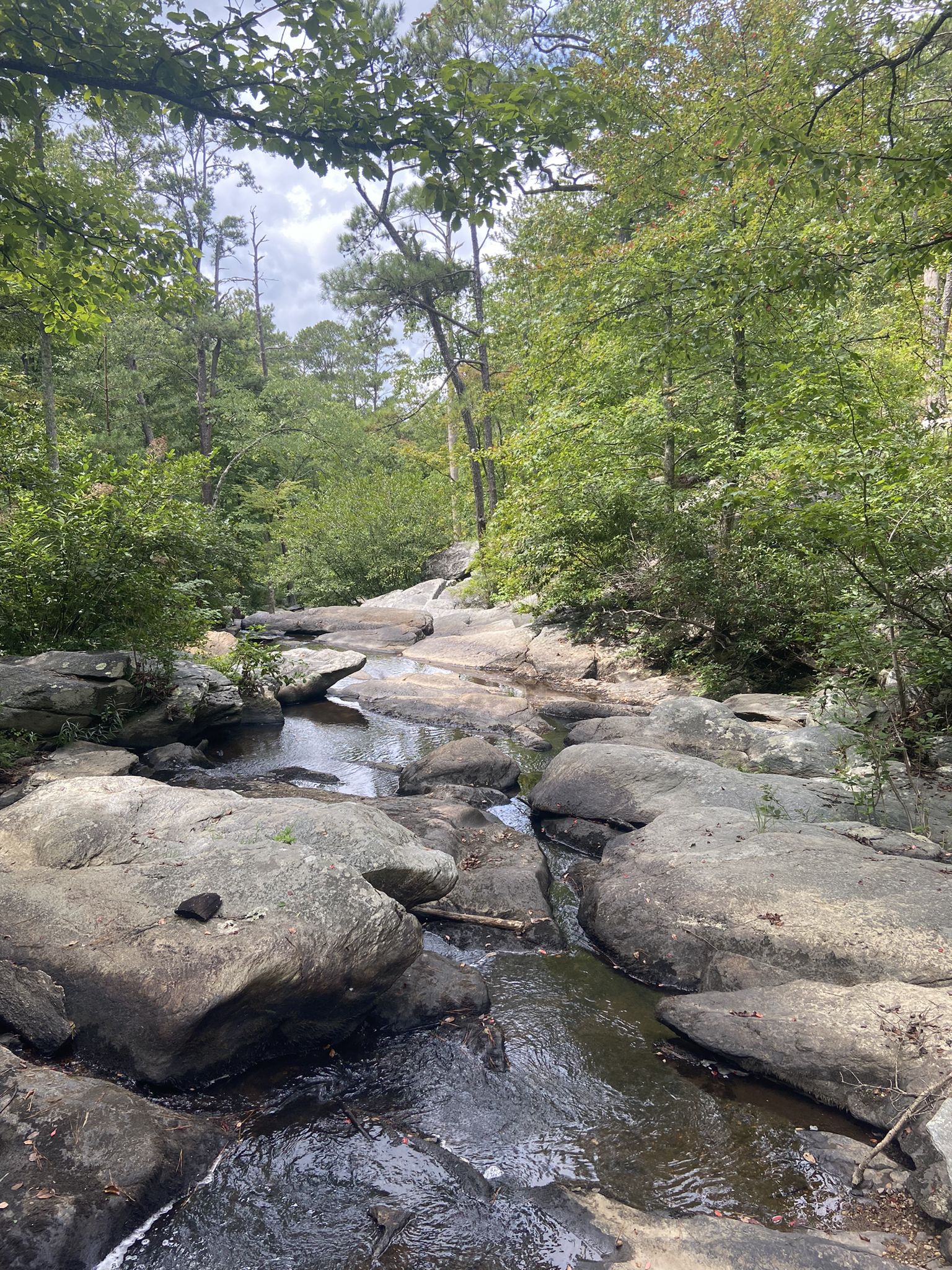 Rocky stream winding through a lush green forest on a bright day. - Cheaha Falls – Devil‘s den falls loop from Lake Chinnabee
