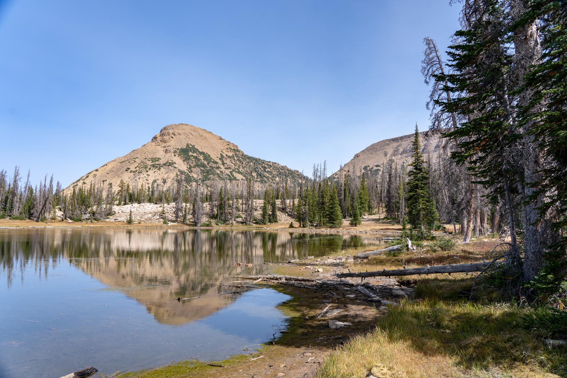 Serene lake reflecting two large mountains and a forest under a clear sky.