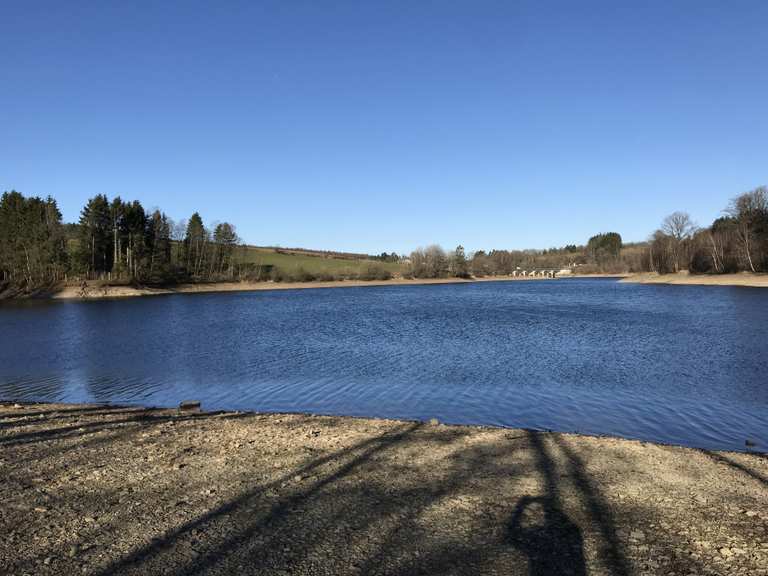 Lac de Robertville Wanderungen und Rundwege komoot