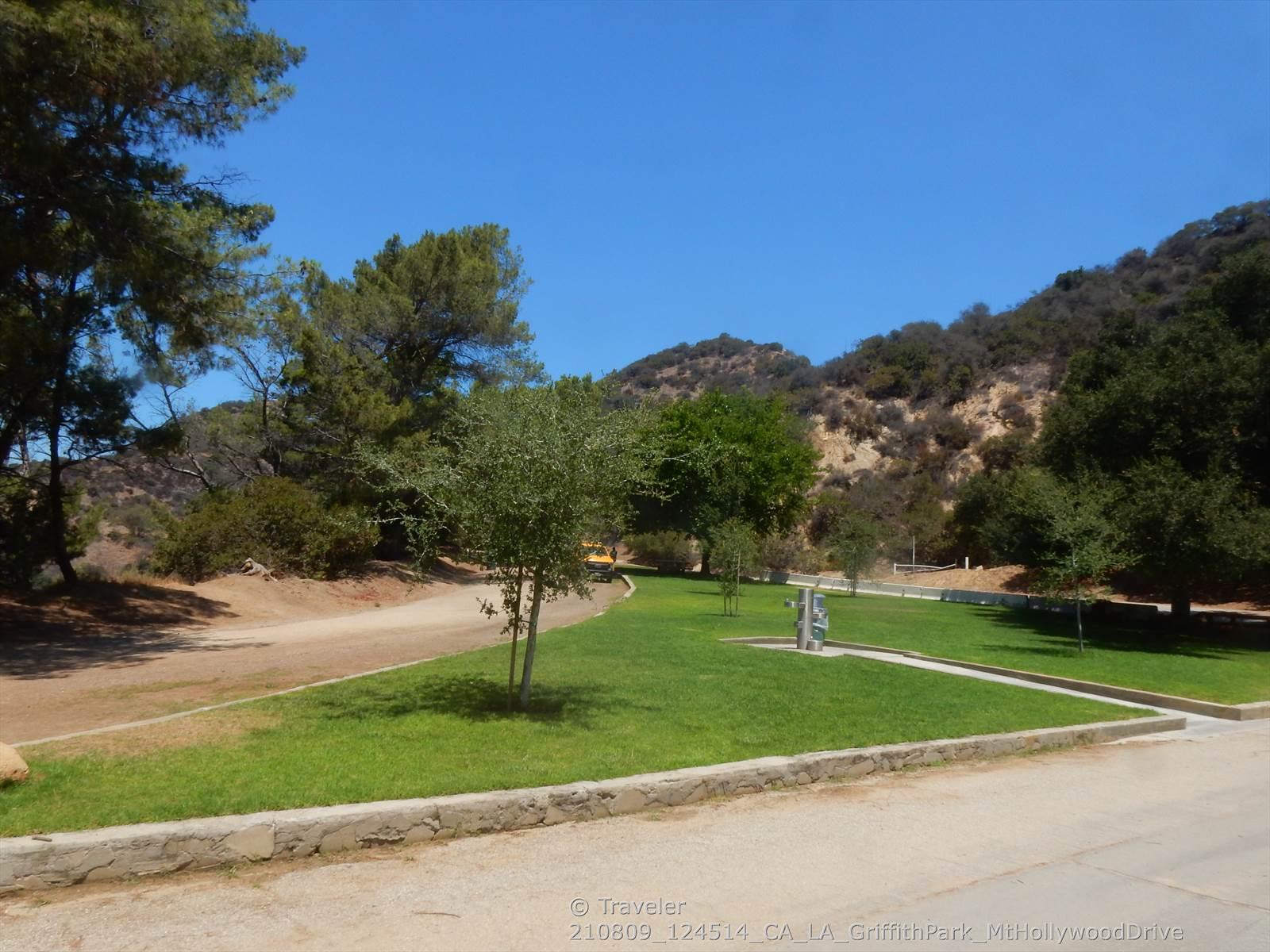 Green grassy park area with trees next to a dirt road on a sunny day.