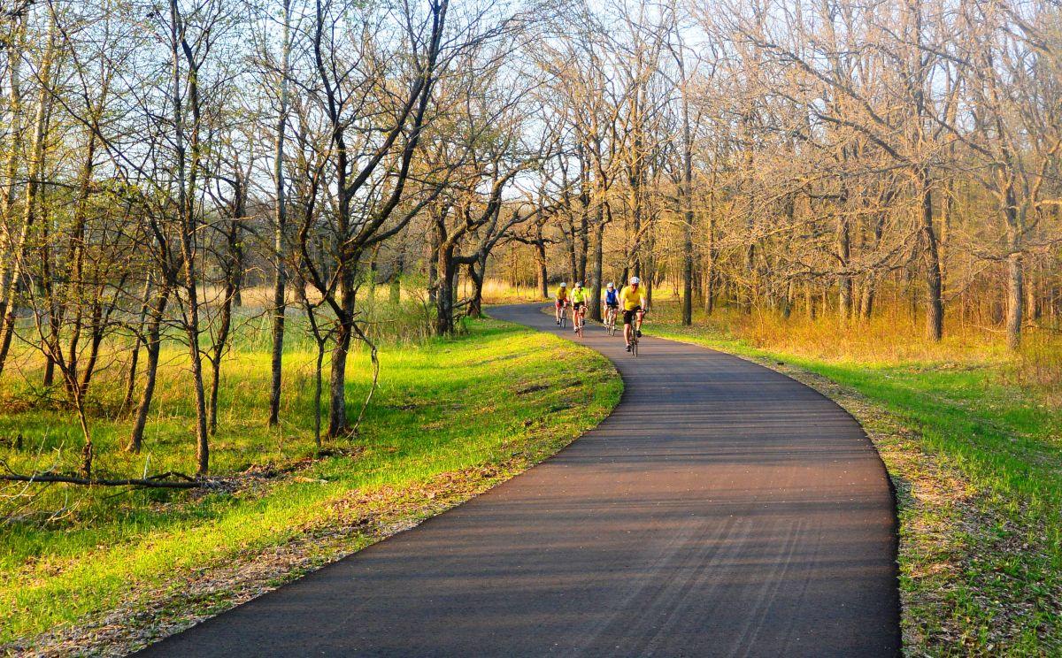 Cyclists ride on a paved path through a sunlit, grassy, wooded area.