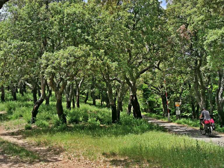Col de Fourche depuis Gonfaron Réserve biologique intégrale des