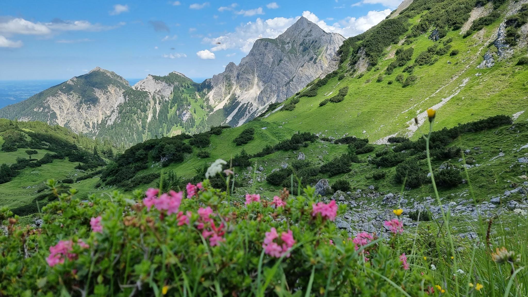 Panoramaweg: Wanderungen Und Rundwege | Komoot