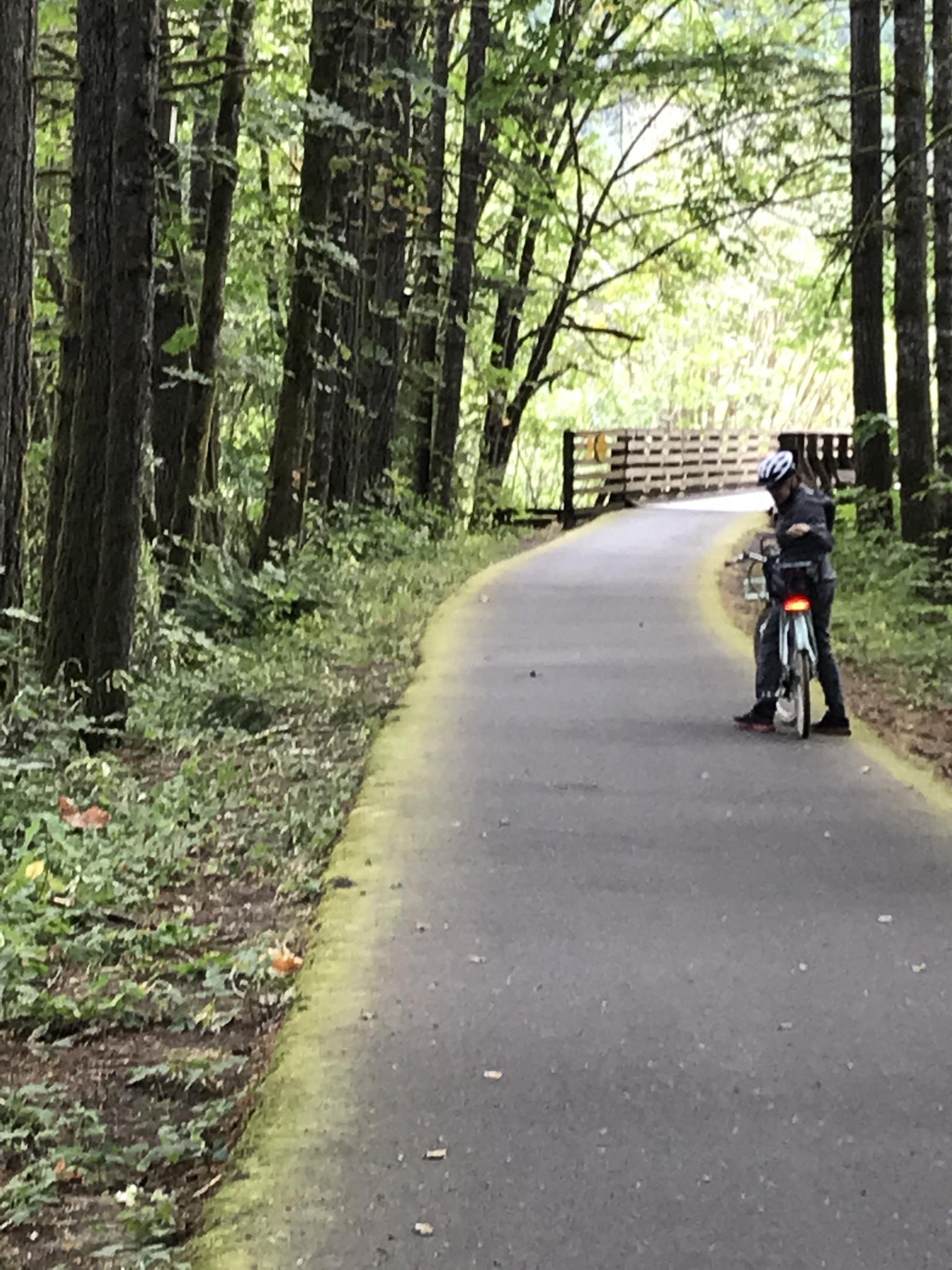 Person on a bicycle on a paved forest path with dappled sunlight.