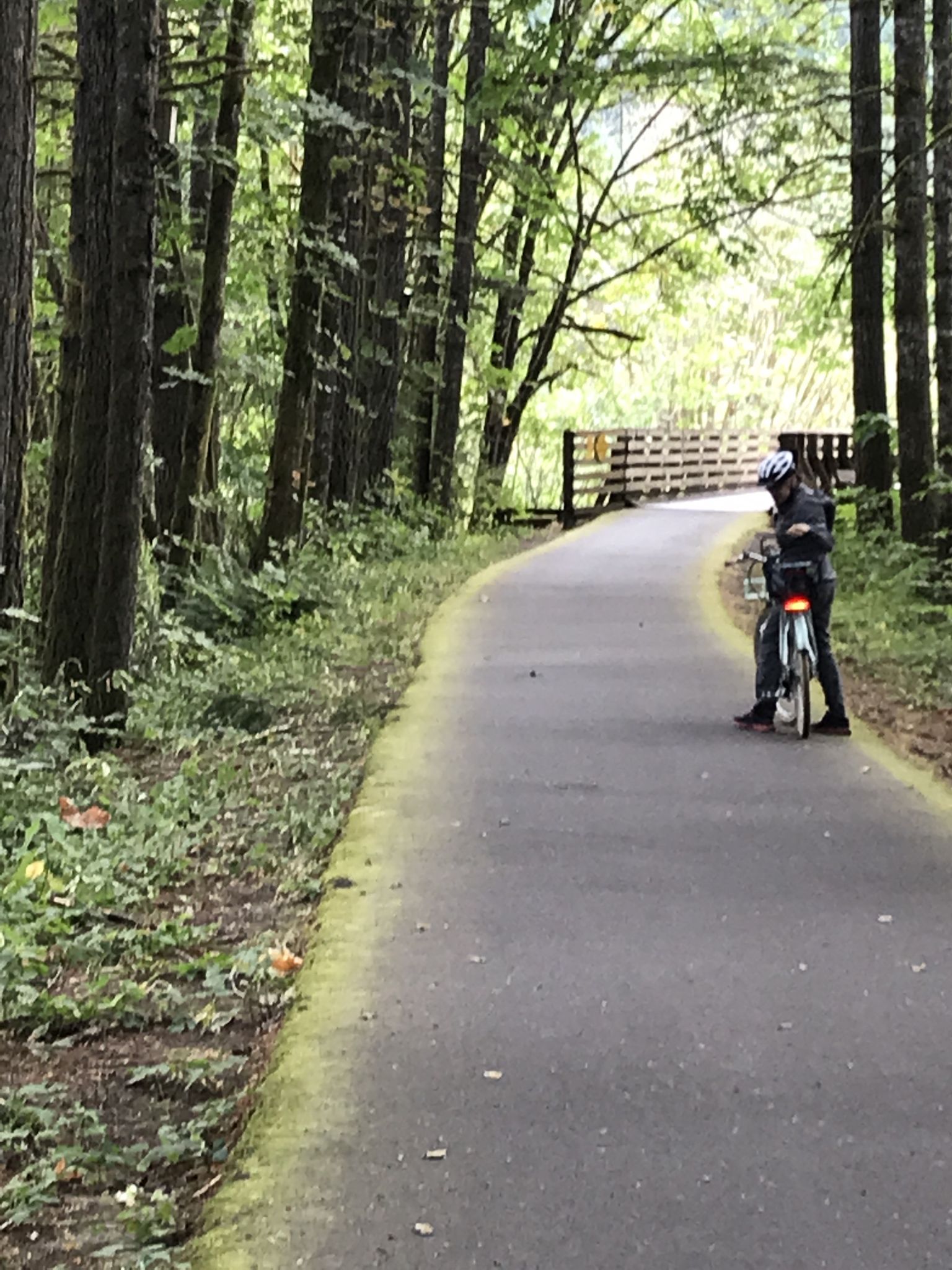 Person on a bicycle on a paved forest path with dappled sunlight. - L.L. Stub Stewart State Park – Banks-Vernonia State Trail loop from L.L. Stub Stewart State Park