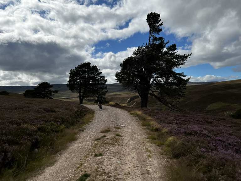 Burma Road South, Aviemore MountainbikeTouren komoot