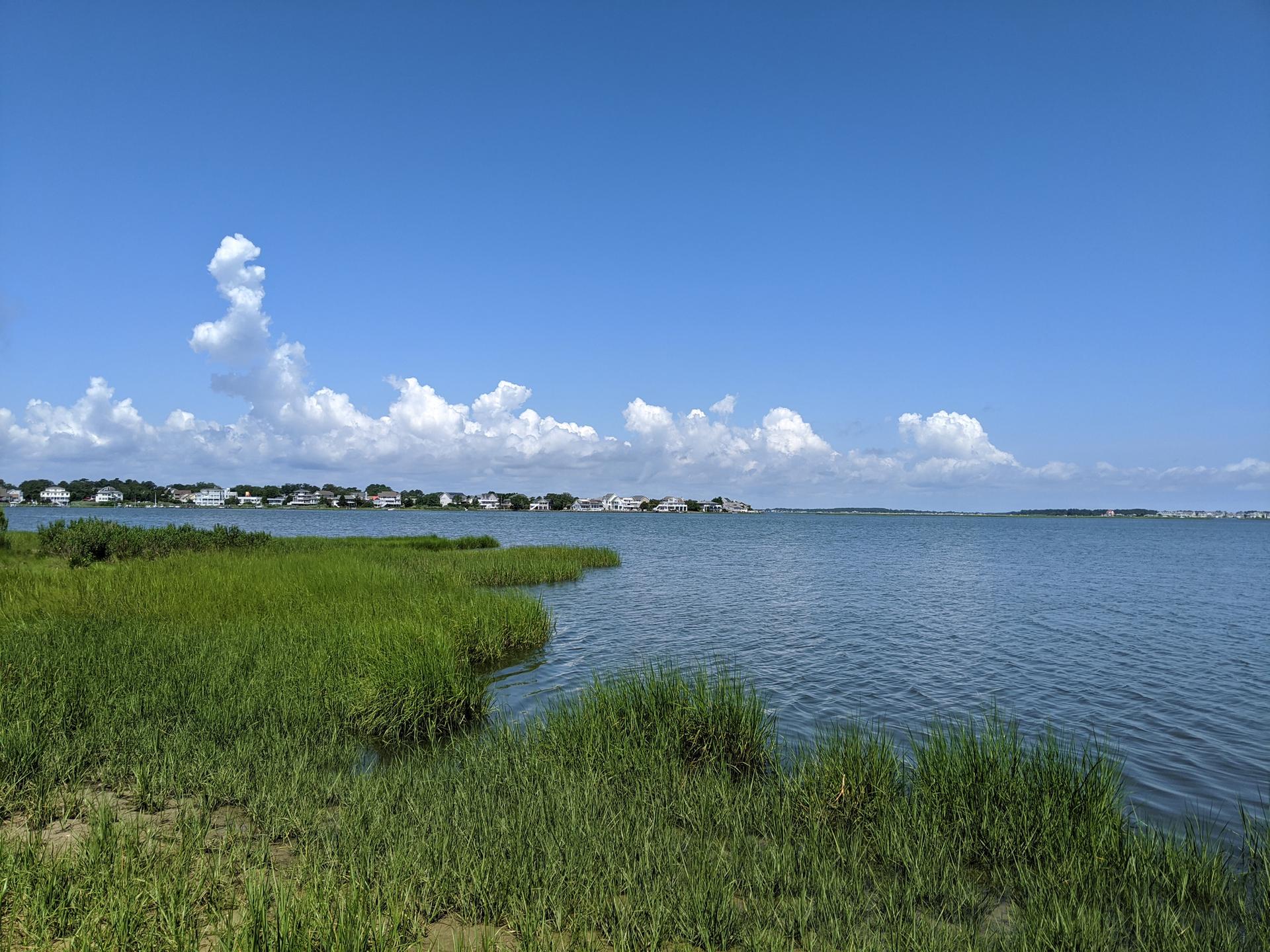 Green marsh grass borders blue water with a distant town under a bright sky.