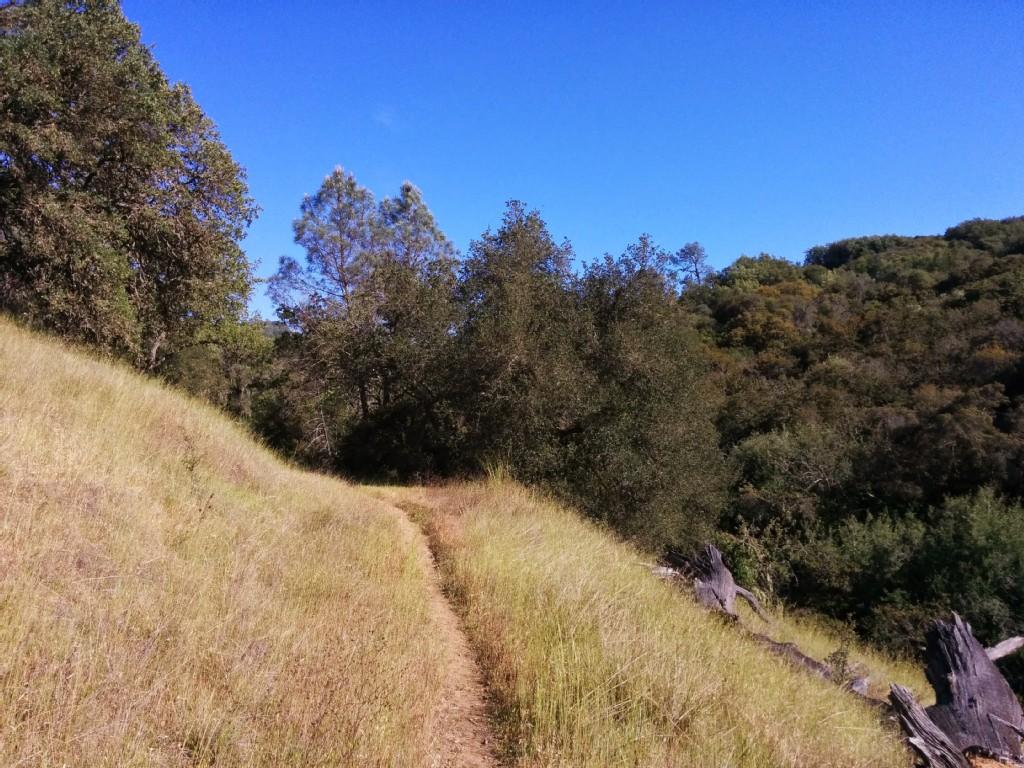 A narrow dirt path winds up a dry grassy hill under a clear sky.