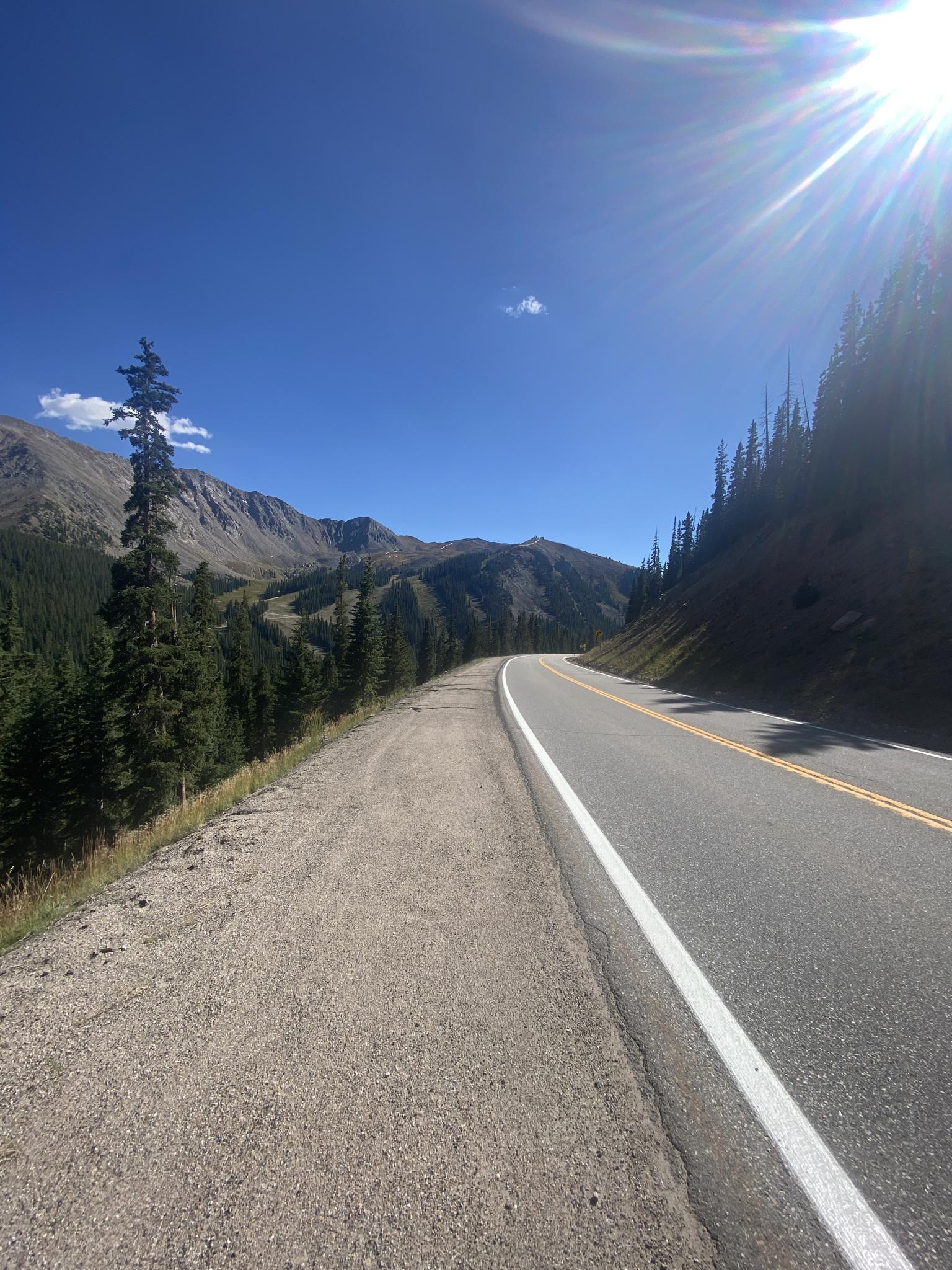 A sunny mountain road winds through pine trees with distant peaks.