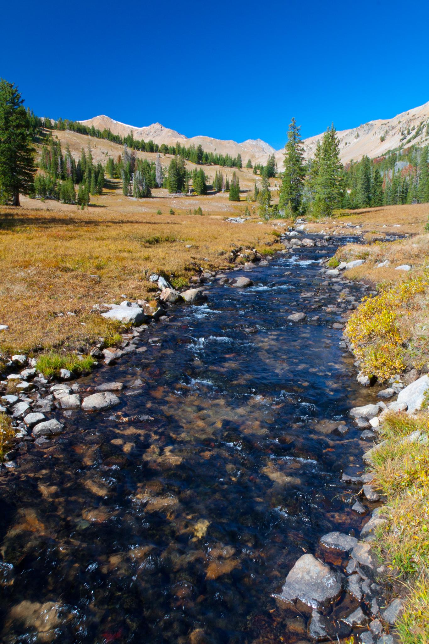 A clear stream flows through a golden meadow under a bright blue sky.