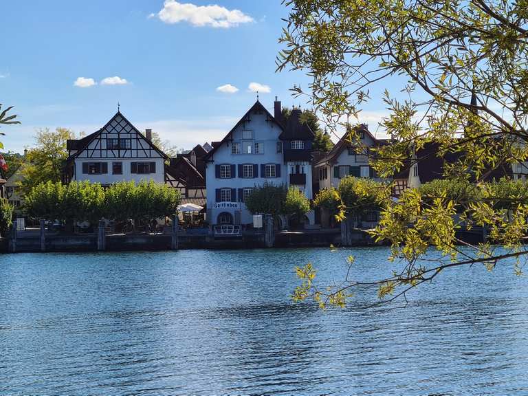 Das Wollmatinger Ried am Seerhein Radtouren