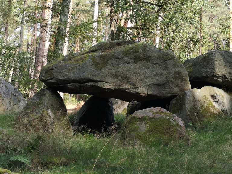 Die Großsteingräber von Lüdelsen Wanderungen und Rundwege komoot