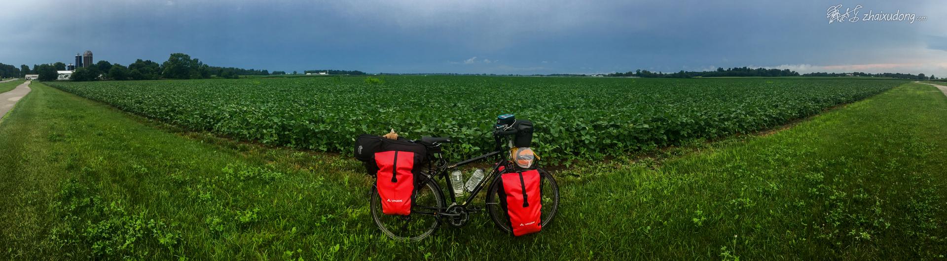 Bicycle with red panniers on a grassy path next to a vast green field.