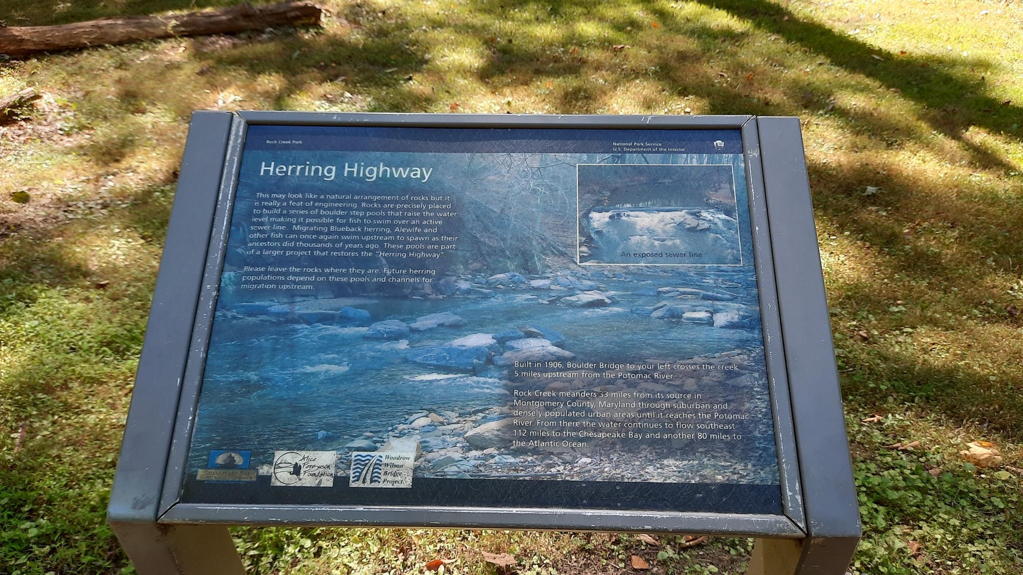 An outdoor interpretive sign titled 'Herring Highway' stands in a grassy area.