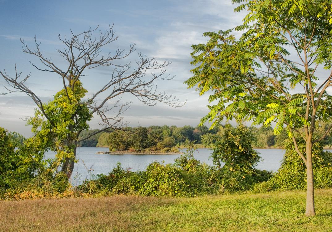 Lake with a small island, framed by trees under a cloudy sky.