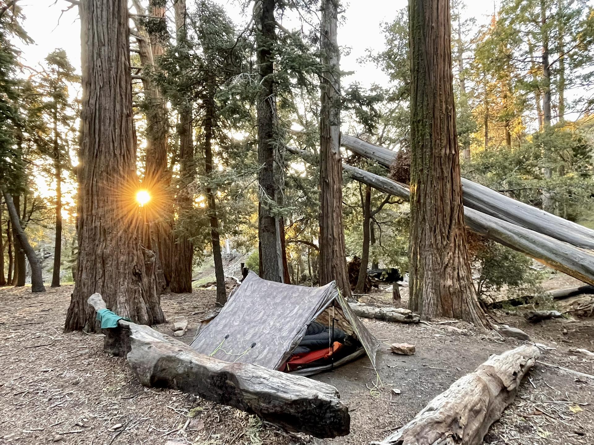 A tent set up in a forest at sunset, with sunburst through trees.