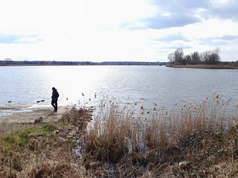 Eschefelder Teiche (Großer Teich) Wanderungen und Rundwege komoot