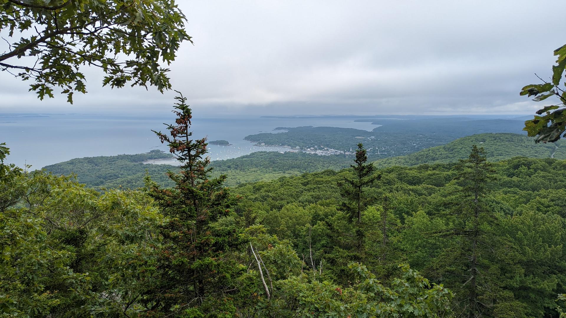 Overcast panoramic view of a large bay surrounded by dense green forests.