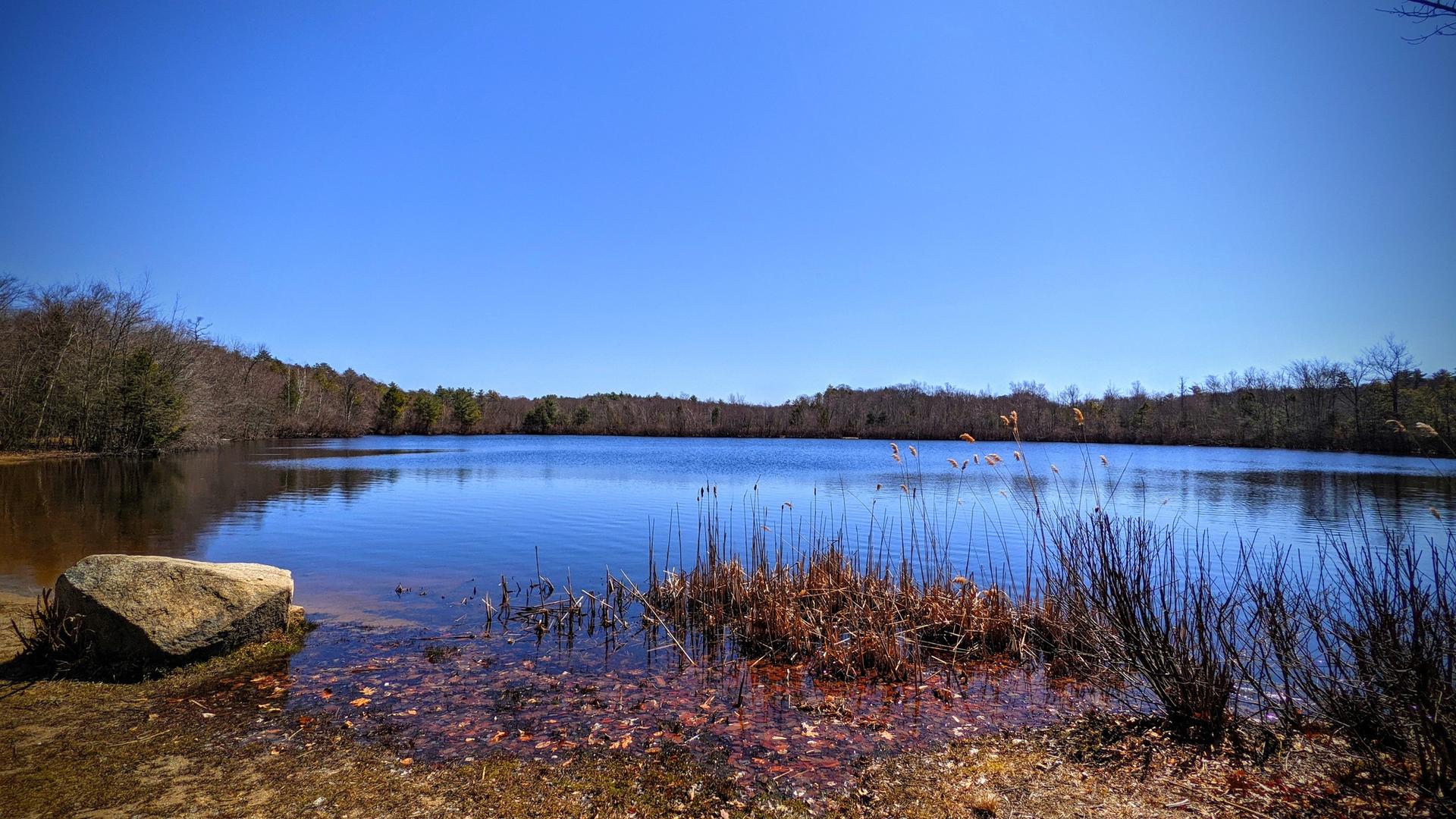 A calm lake reflecting a clear blue sky, surrounded by bare trees.