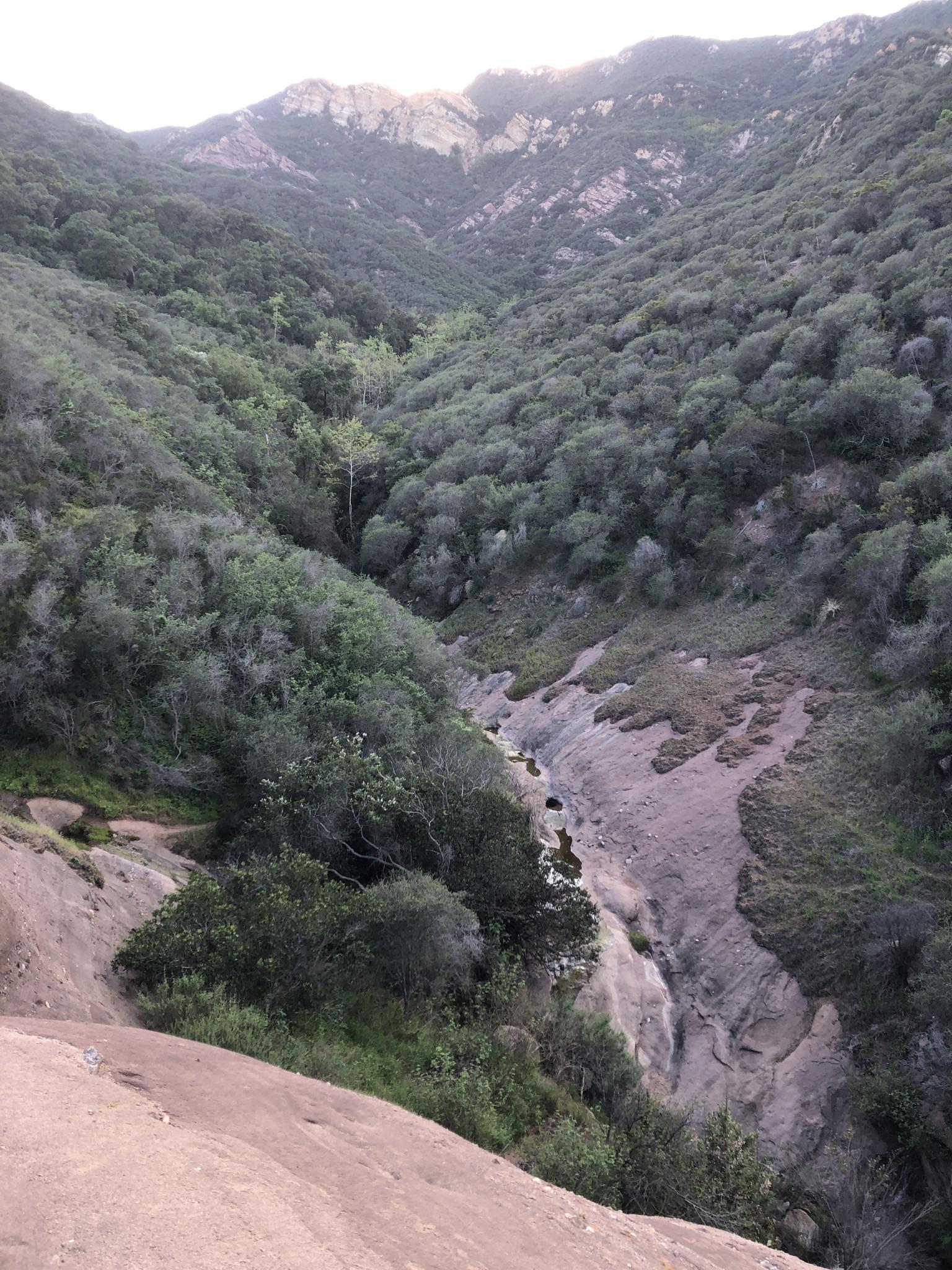 Steep, rocky canyon covered in dense green trees under a muted sky.