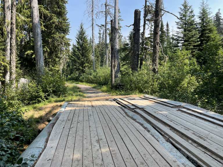 leech-lake-wanderungen-und-rundwege-komoot