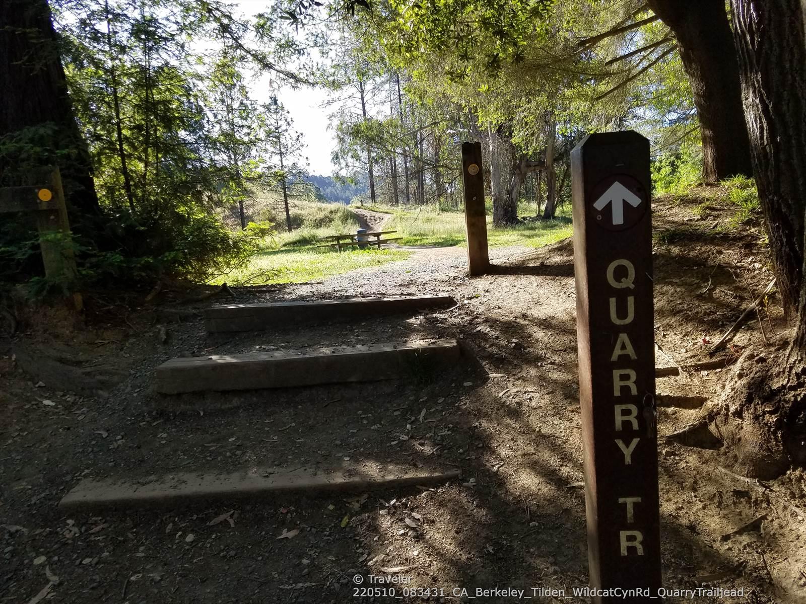 Wooden steps and a trail sign leading into a sunlit forest path.