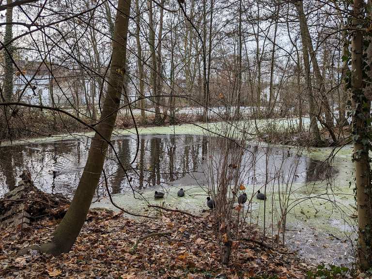 Grummer Teiche Tipulusteich Bochum Runde von Hiltrop Wanderung Komoot